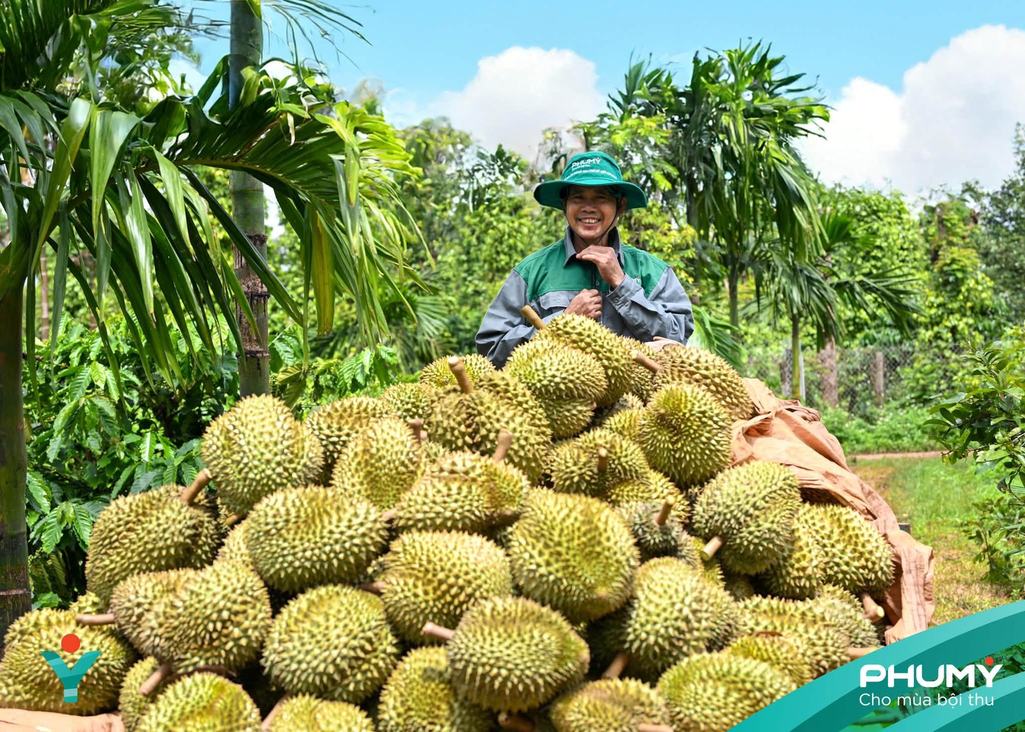 17-1786963612-dau-an-dam-net-cua-phu-my-tai-le-hoi-sau-rieng-dak-lak-2026