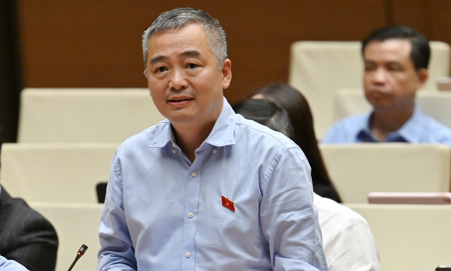 Đại biểu Nguyễn Lân Hiếu.