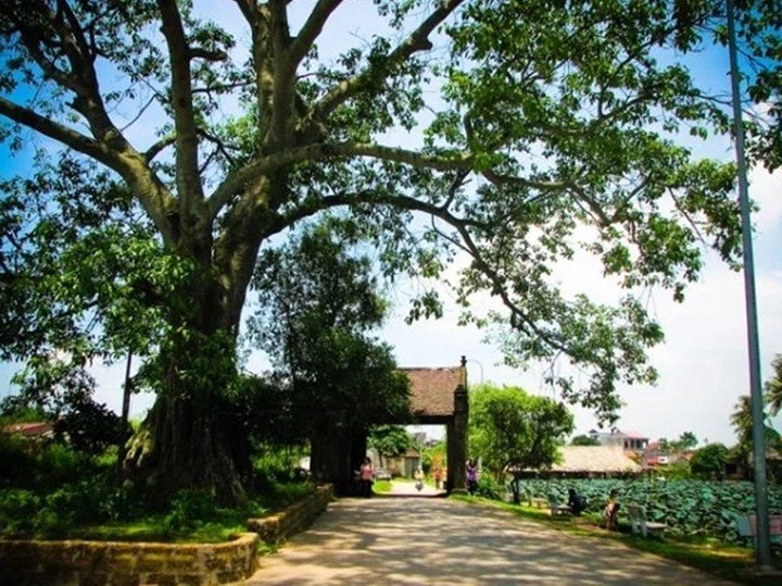 Nằm cách trung tâm Hà Nội khoảng 50km, làng cổ Đường Lâm là một trong những điểm đến thu hút đông đảo du khách. (Ảnh: Sinhtour)