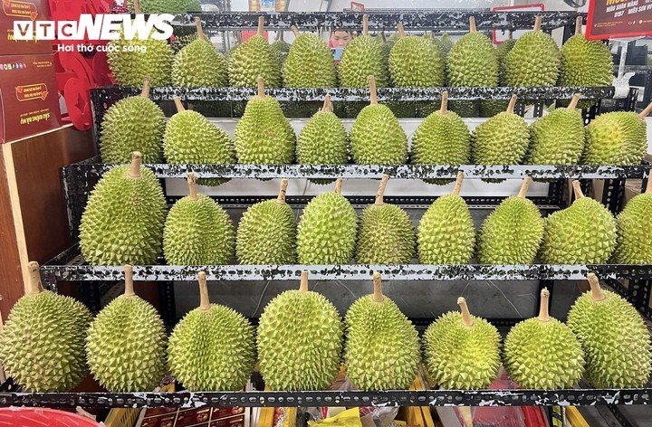 Khách hàng ngày càng quan tâm đến chất lượng, nguồn gốc và quy trình canh tác khi lựa chọn sầu riêng.