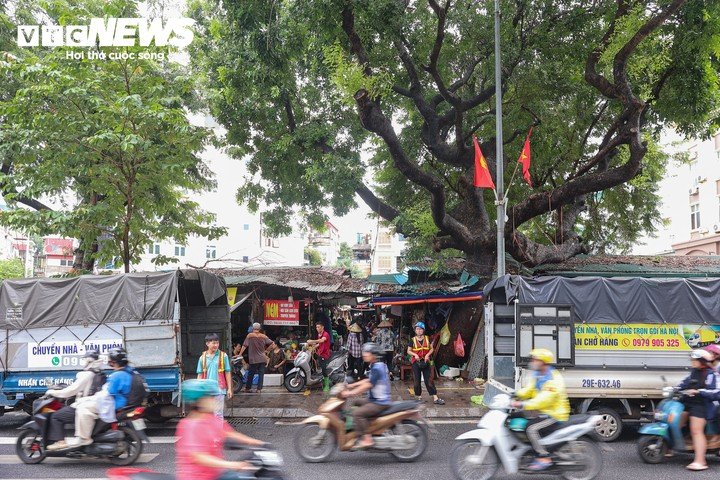 Ngày 15/9, UBND phường Kim Liên bố trí lực lượng hỗ trợ các hộ kinh doanh, tiểu thương bốc dỡ, vận chuyển hàng hóa, đồ đạc ra khỏi chợ theo lộ trình dừng hoạt động.