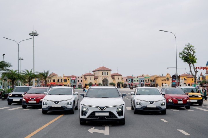 Vingroup triển khai chương trình 'Vì tương lai xanh' lần 2 - 1