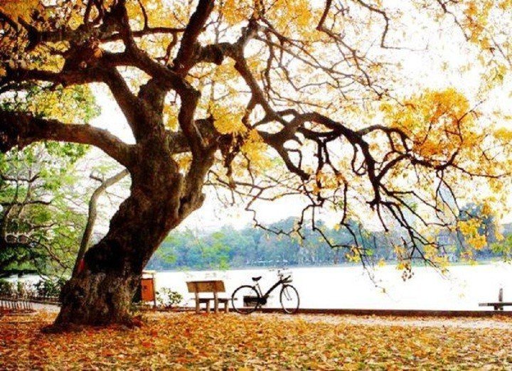 Mùa thu là mùa lãng mạn nhất trong năm nhưng lại dễ khiến con người cảm thấy mệt mỏi, chán nản.