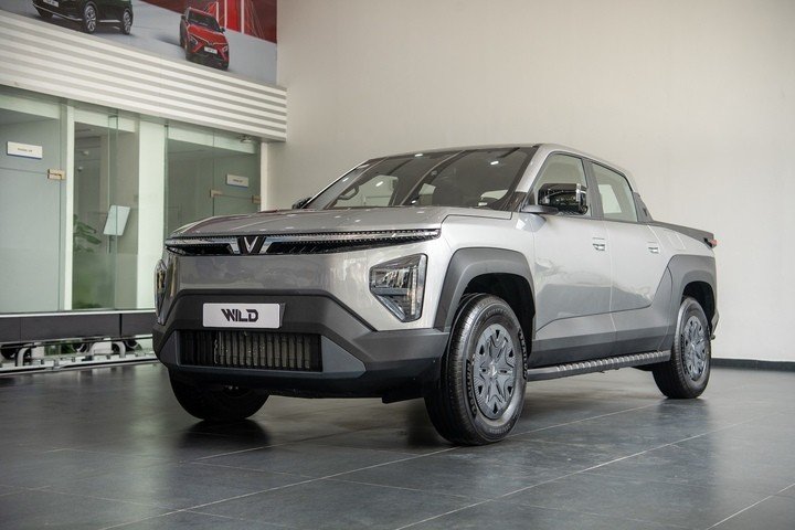 Lý do khách hàng Việt đua nhau chốt cọc sớm VF Wild - 1