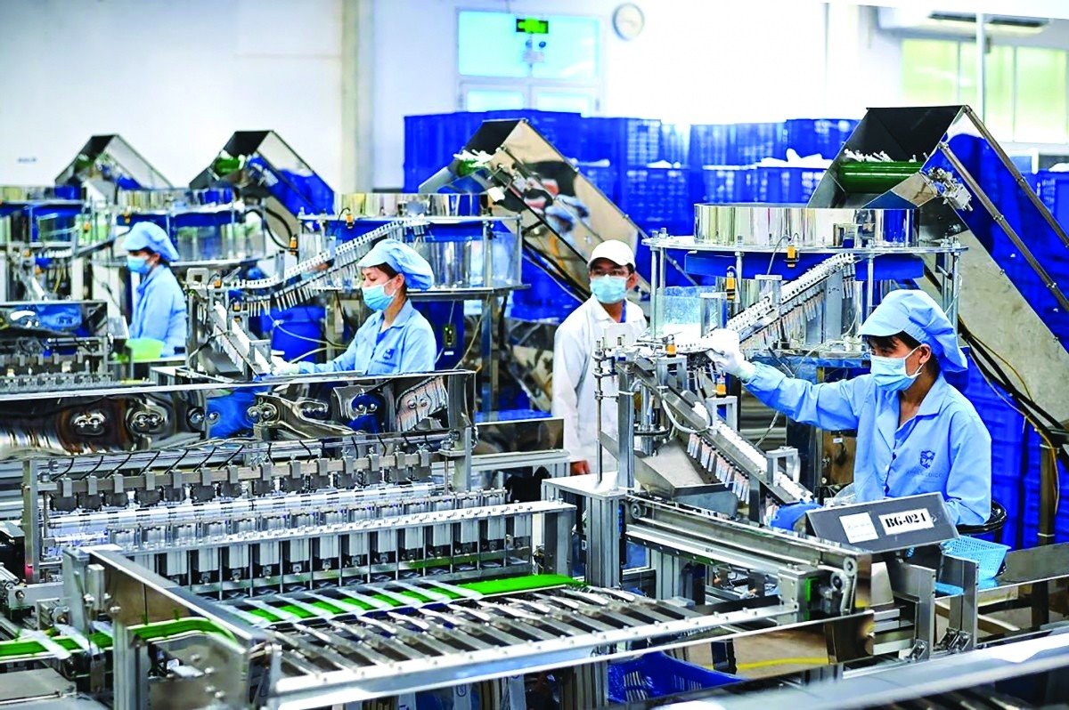Khi chủ động hơn về chế biến, thiết kế, bao bì, câu chuyện sản phẩm và cách tiếp cận thị trường, doanh nghiệp có cơ hội tham gia thêm các công đoạn tạo giá trị phía sau
