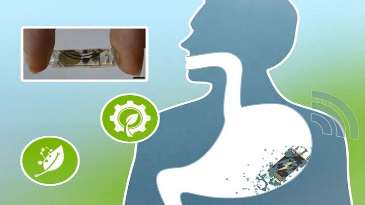 (Nguồn ảnh: MIT News)