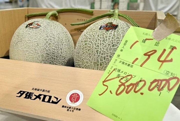 Cặp dưa lưới có giá kỷ lục 5,8 triệu Yên. (Ảnh: Kyodo)