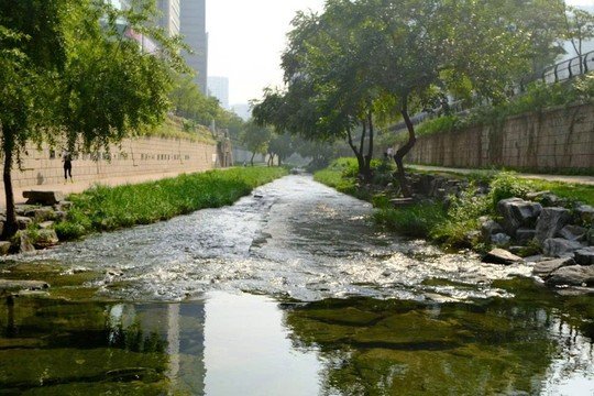 Khơi lại những dòng sông giữa lòng thành phố