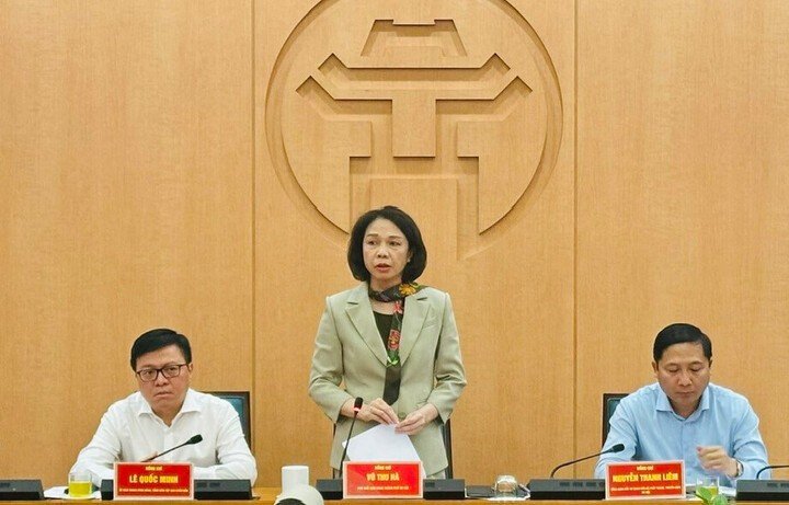 Phó Chủ tịch UBND TP Hà Nội Vũ Thu Hà phát biểu tại cuộc họp.