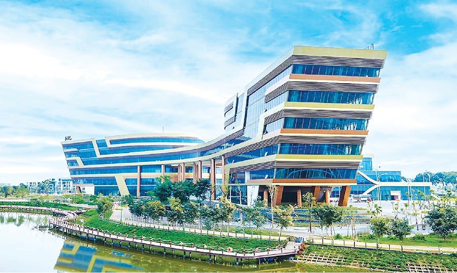 hoa-lac.jpg