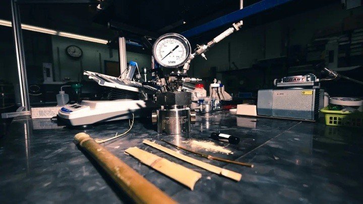 Nhiên liệu từ tre có thể trở thành giải pháp thay thế cho nhiên liệu hóa thạch. (Ảnh: WPI)
