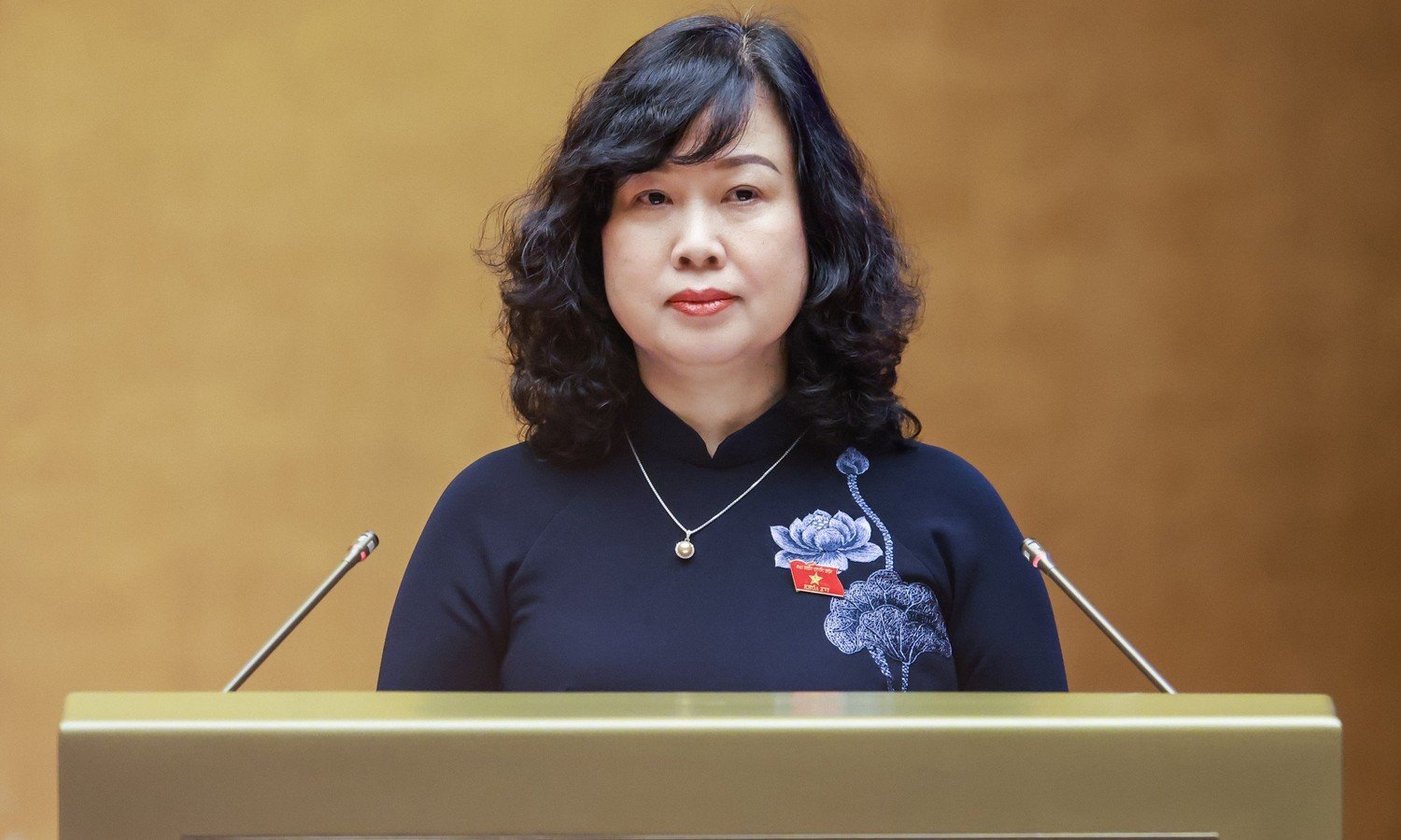 Bộ trưởng Bộ Y tế Đào Hồng Lan.
