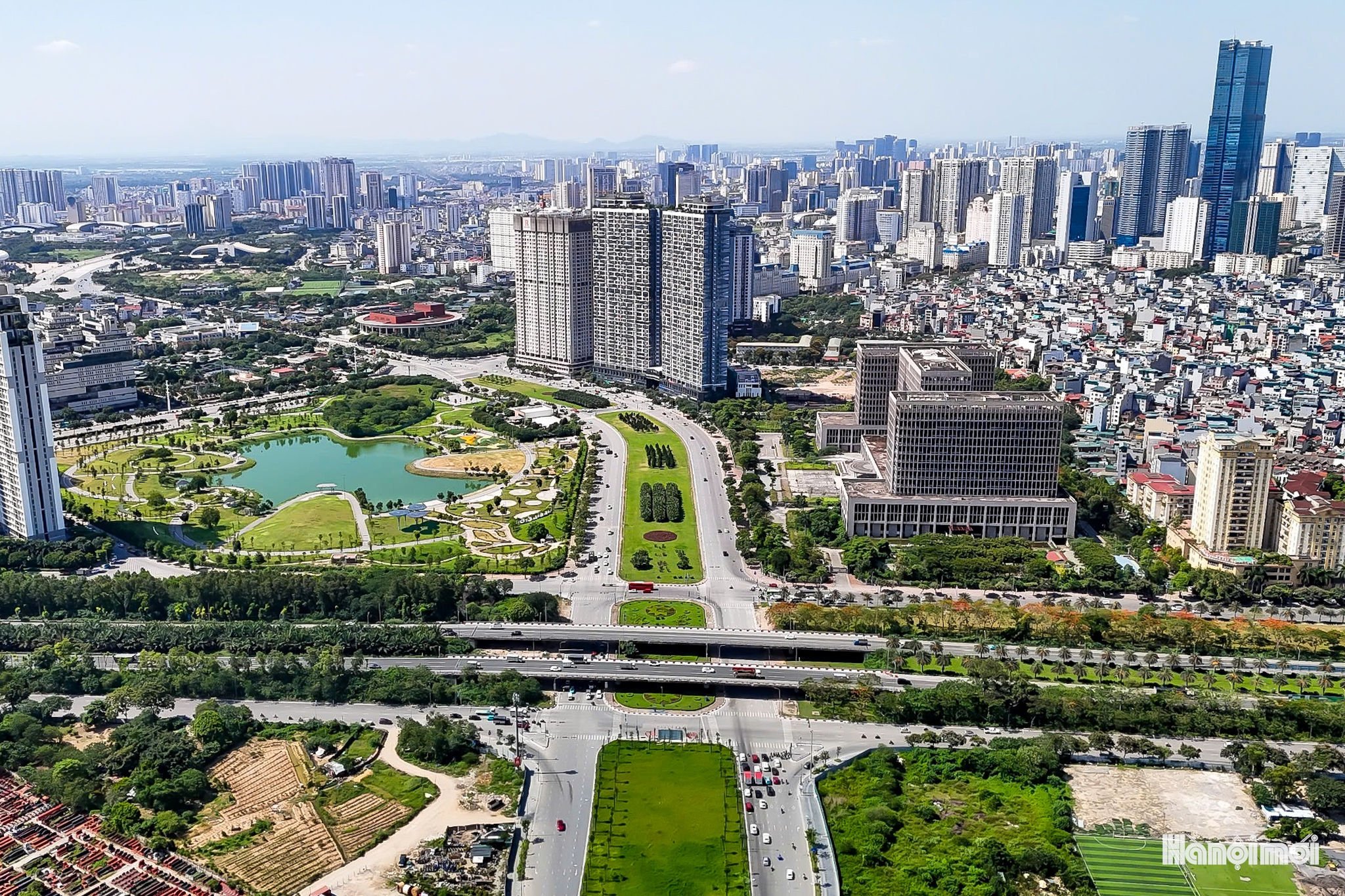 W_dailothanglong-cayxanh-16.jpg