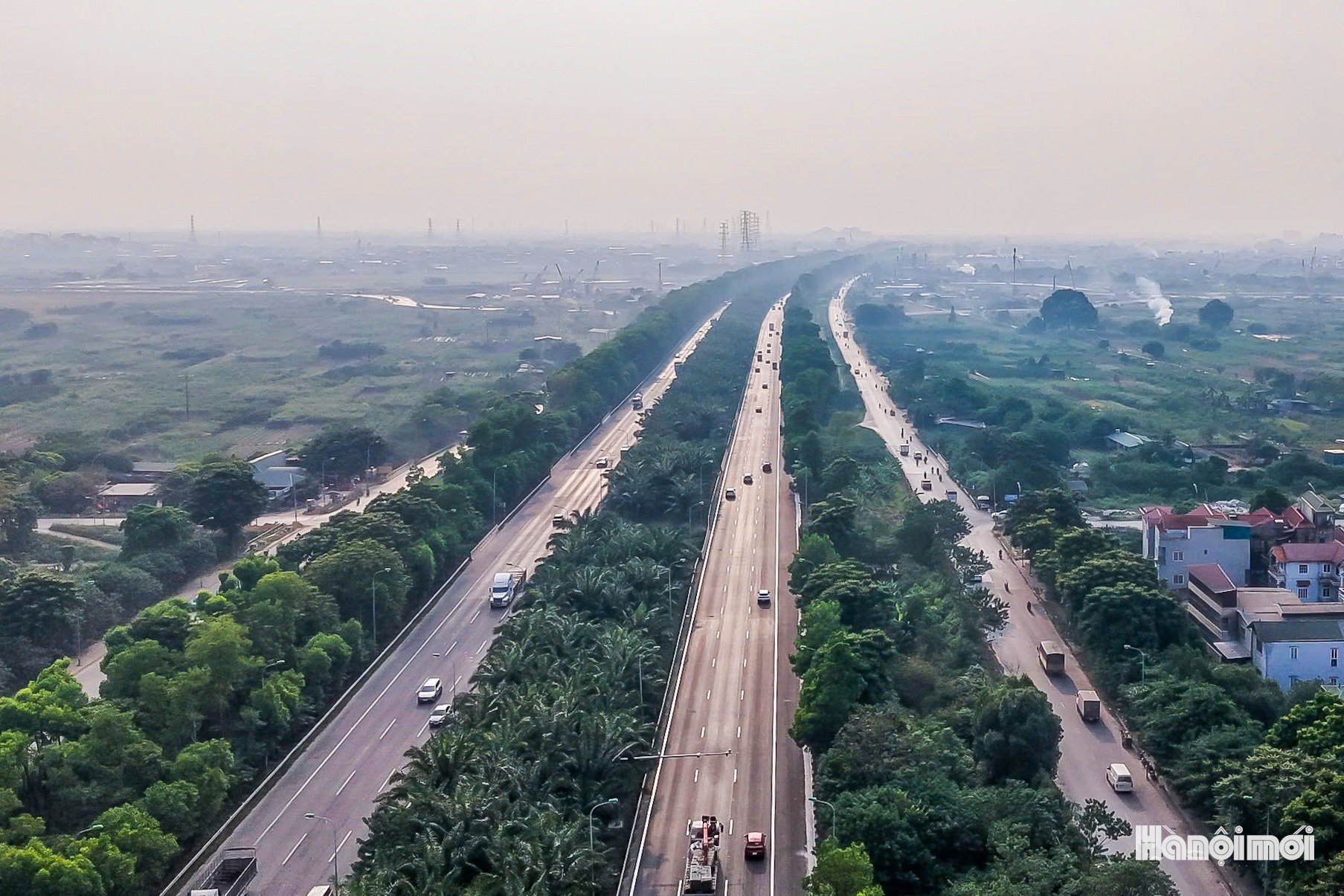 W_dailothanglong-cayxanh-11.jpg