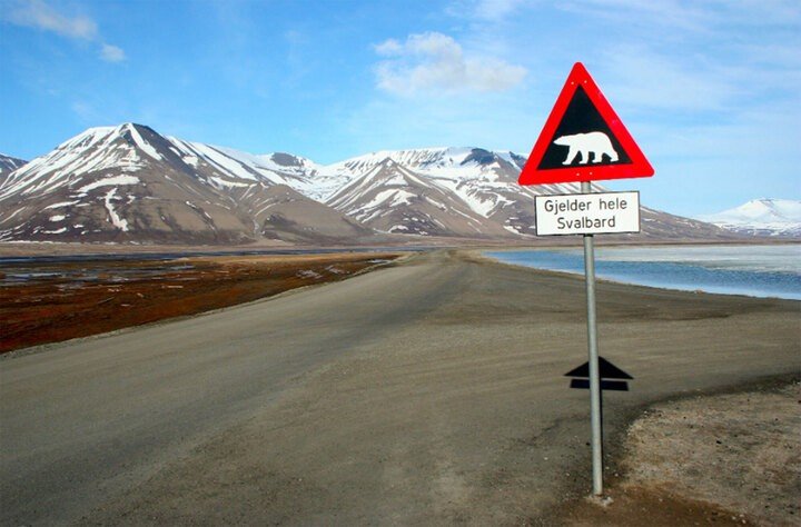 Người dân Longyearbyen sống giữa những quy luật khắc nghiệt của tự nhiên nhưng luôn bị mê hoặc bởi vẻ đẹp siêu thực nơi cực Bắc Trái đất. (Ảnh: Wikipedia Commons)