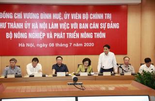 Hà Nội đề xuất hạ thấp mặt đê từ cầu Chương Dương đến Lương Yên, giữ nguyên tường bê tông