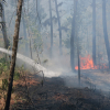Liên tiếp xảy ra nhiều vụ cháy rừng tại Huế
