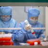 Trung Quốc thủ sẵn bộ xét nghiệm PCR nhiều tháng trước công bố dịch COVID-19?