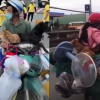 Tiêu hủy đàn chó của cặp vợ chồng ở Cà Mau: Trưởng Trạm y tế xã xin nghỉ việc