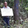 Bắt thêm một đối tượng vụ đầu độc hơn 10ha rừng thông ở Lâm Đồng