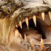 Quái ngư săn mồi cá hổ: Thủy quái rắc nỗi kinh hoàng dưới nước