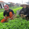 Chương trình OCOP Phú Yên: Nâng tầm các đặc sản vùng miền