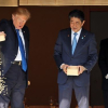 Video: Ông Trump hào phóng dốc cả hộp thức ăn cho cá, Thủ tướng Nhật tủm tỉm cười