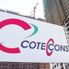 Coteccons quên công bố thông tin nộp phạt và truy thu thuế