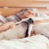 Mỹ: Sốc khi thấy đàn ông lạ ngủ trên giường cùng chó của mình