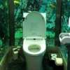 Trải nghiệm đi toilet giữa bể cá khổng lồ tại quán cà phê Nhật