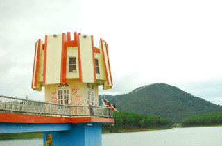 Đến Lâm Đồng thả hồn với xứ sở ngàn hoa đầy mê hoặc