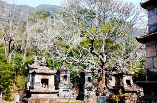 Sự linh thiêng kỳ lạ ở vườn tháp Huệ Quang