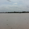 Trầm tích sông Đồng Nai không bị ô nhiễm dioxin