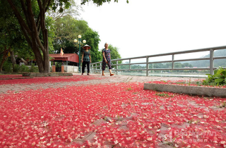 Đẹp ngỡ ngàng lâm viên trung tâm thị xã vùng núi Nghệ An