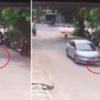 Video: Tài xế ô tô cố tình cán chết chó gây phẫn nộ