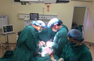 Đau nhức xương khớp kéo dài, không ngờ cô gái 16 tuổi bị ung thư xương