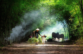 Bức họa đồng quê trong \'Dấu ấn Việt Nam\'