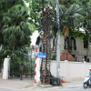 Những cột điện 100 tuổi cuối cùng trên phố Hà Nội
