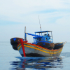 Hơn 100 con tê tê trên tàu đánh cá ở Cà Mau