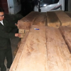 Quảng Bình: Bắt giữ hơn 9m3 gỗ lậu không rõ nguồn gốc