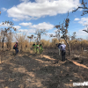 Hơn 100 ha mía ở Đắk Lắk bốc cháy dữ dội