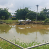 Xâm nhập mặn gay gắt, Đà Nẵng ‘cầu cứu’ các hồ thủy điện