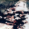 Ảnh: Ký ức đau thương thảm sát Mỹ Lai cách đây 50 năm
