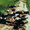 Thảm sát Mỹ Lai: Ký ức ám ảnh rõ ràng như những tấm ảnh màu chụp năm 1968
