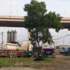 Hành lang cầu Bạch Đằng nối Hải Phòng- Quảng Ninh bị xâm hại