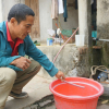 Thanh Hóa: Hơn 900 hộ dân ven sông Mã khốn khổ vì giếng khơi cạn nước