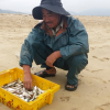 Hà Tĩnh: Thủy sản khan hiếm, ngư dân chẳng buồn ra khơi