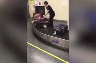 Video nhân viên sân bay Nhật Bản lau từng vali cho khách gây sốt
