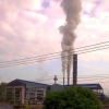 Niêm phong nhà máy đường gây ô nhiễm môi trường