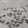 Quảng Bình: Dân mang ruồi chết đến trại bò biểu tình ô nhiễm